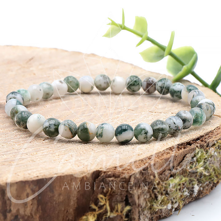 Tree Agate Bracelet - The Crystal Council