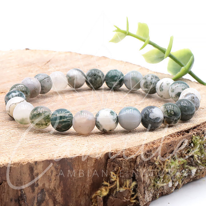 Buy Reiki Crystal Products White And Green Natural Crystal Stone Tree Agate  Tree Agate Bracelet - 8 mm Online at Best Prices in India - JioMart.
